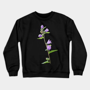 Bluebell Crewneck Sweatshirt